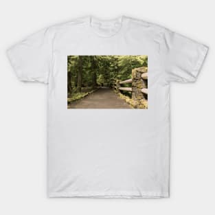 A Pathway To Sahalie Fall - 1 © T-Shirt